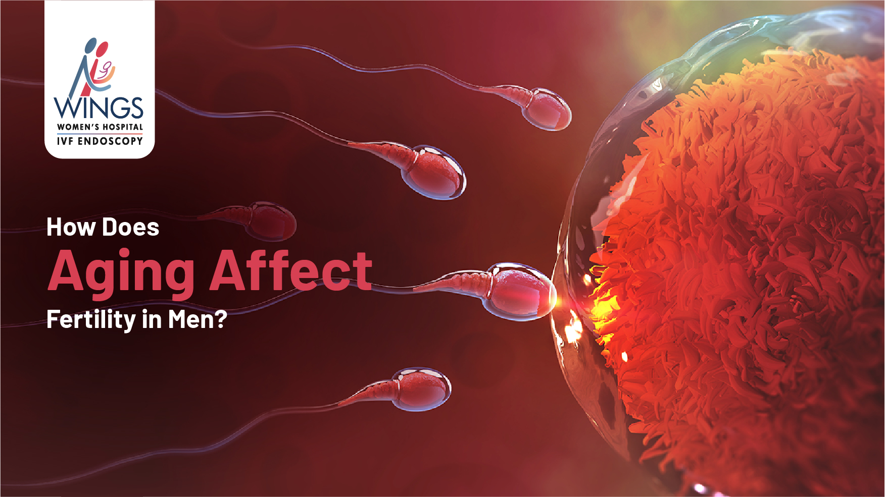 How To Cope with Male Infertility?